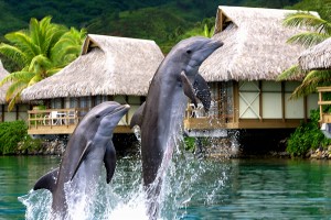 Hotel Intercontinental Resort & Spa Moorea